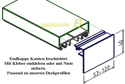 Endkappe 80 für Deckprofil A80-20