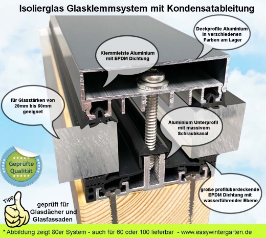 Verglasungssystem für Isolierglas bei 60mm mit AG.60.e